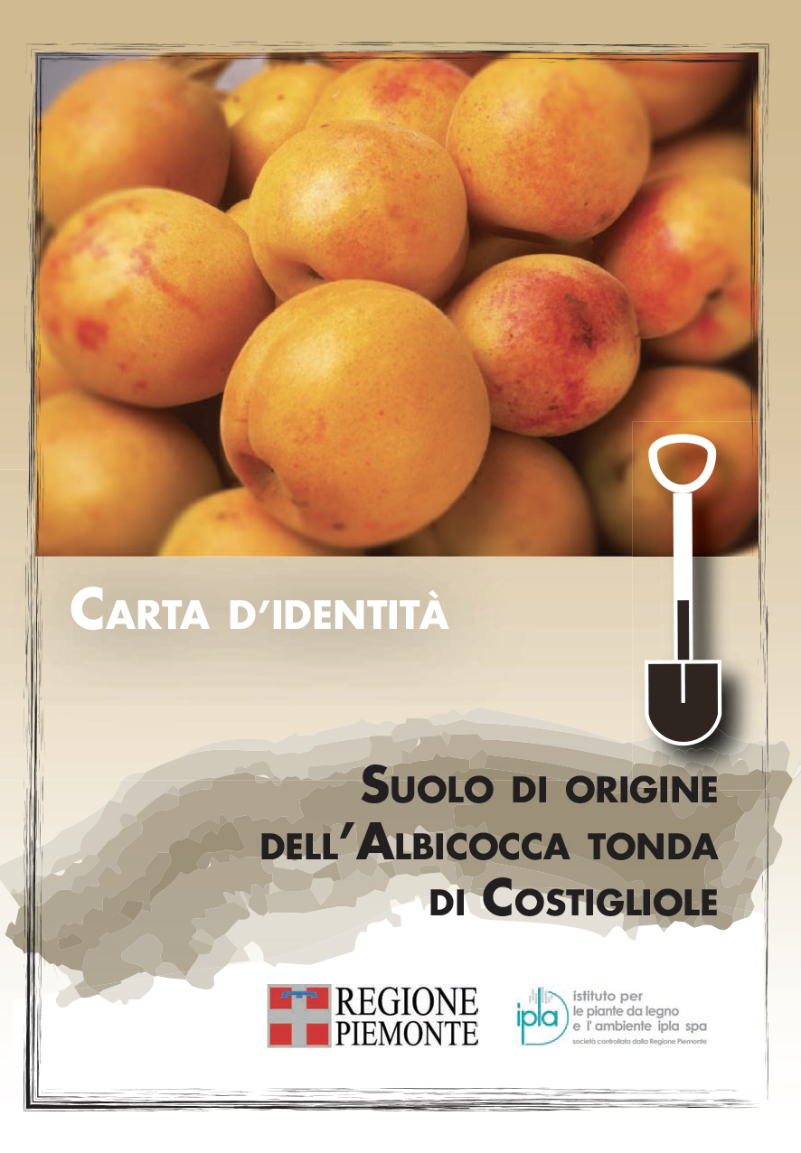 albicocca di costigliole