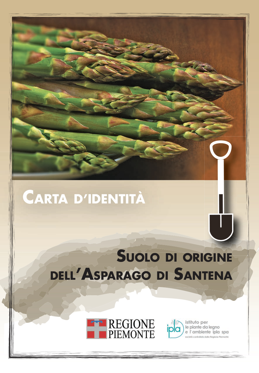 asparago di santena