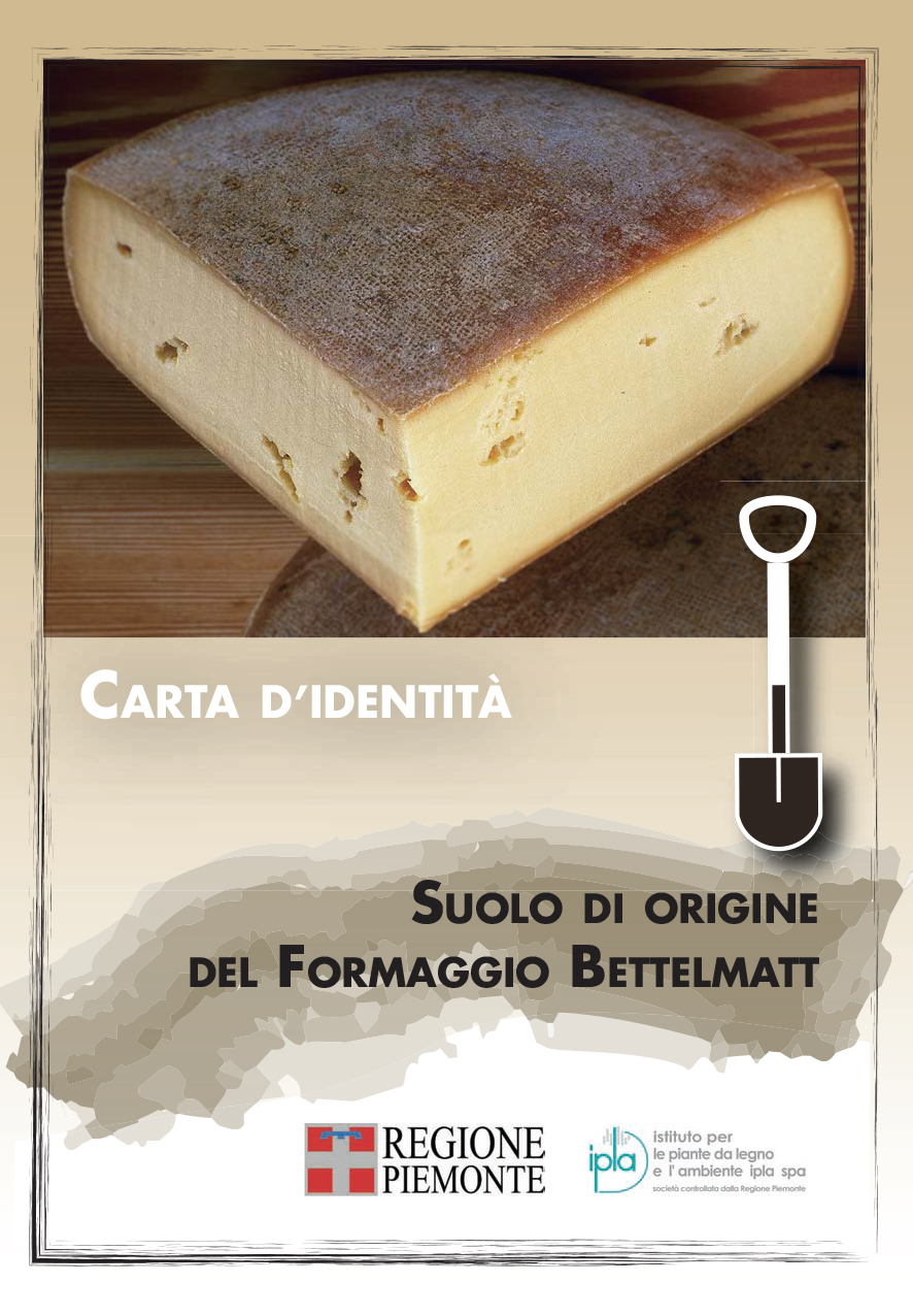formaggio bettelmatt